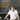 Photo of Ultimate Cookery Course by Gordon Ramsay on a White Background