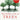 The Hidden Life of Trees The International Bestseller Peter Wohlleben