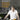 Gordon Ramsay's Ultimate Cookery Course Book– Master Cooking Skills, Recipes & Culinary Techniques for Gourmet Meals, Baking,Grilling & Healthy Eating