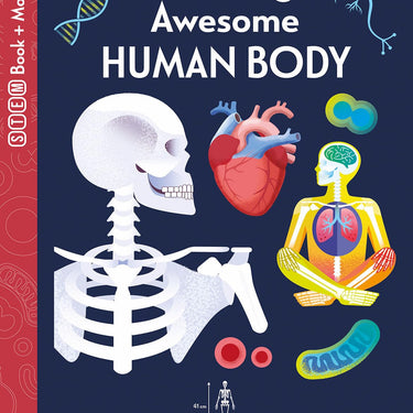 Amazing Awesome Human Body (Ignite STEM Book + Model Kit) Board Book By Susan Mayes