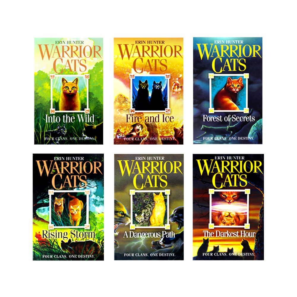 Warrior Cats Series 1 The Prophecies Begin x 6 Books Collection Set