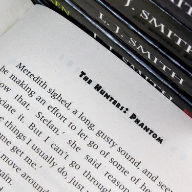 Vampire Diaries Collection 6 Books Set (vol 8 to 13) by L. J. Smith (The Hunters)
