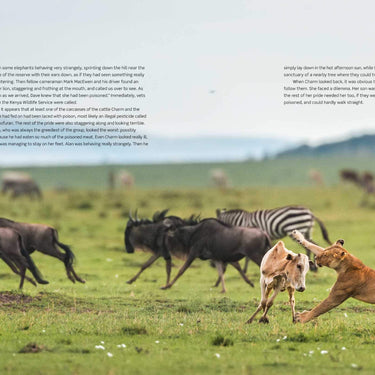 Dynasties The Rise and Fall of Animal Families Stephen Moss David Attenborough