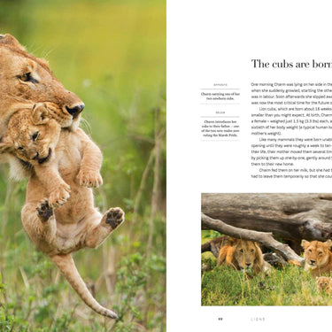 Dynasties The Rise and Fall of Animal Families Stephen Moss David Attenborough