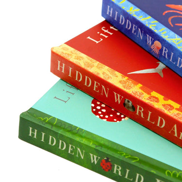 Lift the Flap Hidden World Habitat Series 3 Books Collection Set Ages 0-5