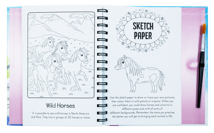 Magic Water Colouring Activity Collection 3 Book Set By Jenny Copper(Horses & Unicorns, Mermaids, Under the Sea)