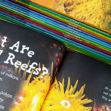 Children's Introduction to Nature & Geography 20-Book Set – Explore Wildlife, Ecosystems & Landscapes | Bears, Big Cats, Coral Reefs, Deserts & More
