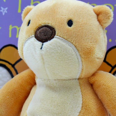 That's Not My Teddy... Book + Plush (That's Not My... + Plush toy)