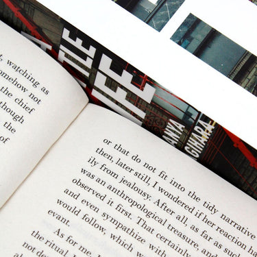 The People in the Trees & A Little Life By Hanya Yanagihara 2 Books Collection Set