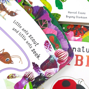 First Nature Childrens Collection 4 Book Set (ANT, BEE, CATERPILLAR & LADYBIRD) By Harriet Evans- Ages 0-5