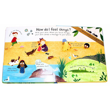 Usborne Lift the flap, First Questions and Answers 5 books box set collection
