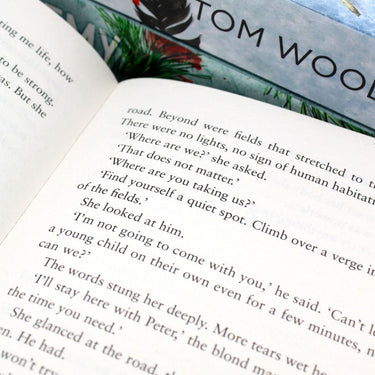 Victor the Assassin Series Tom Wood Collection 3 Books Set (The Hunter, The Enemy, The Game)