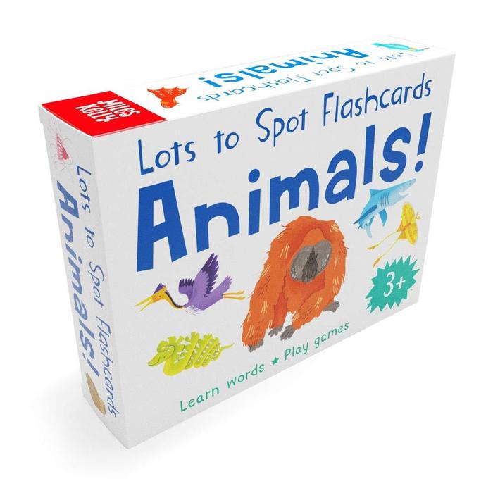 Lots to Spot Flashcards Tray Busy Animals 4 Pack Animals, Bugs , Dinosaurs, Under the Sea