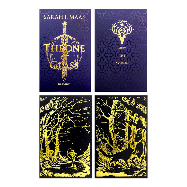 Photo of Sarah J. Maas Collectors Edition 2 Book Set on a White Background