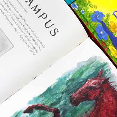 J.K. Rowling Illustrated Edition Collection 3 Books Set Hardback (Fantastic Beasts and Where to Find Them, Quidditch Through the Ages, The Tales of Beedle the Bard)